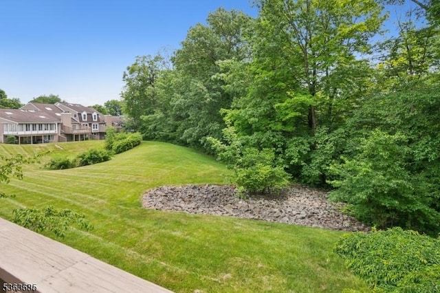 48 Dexter Dr N, Bernards Twp, NJ 07920 - view of green lawn