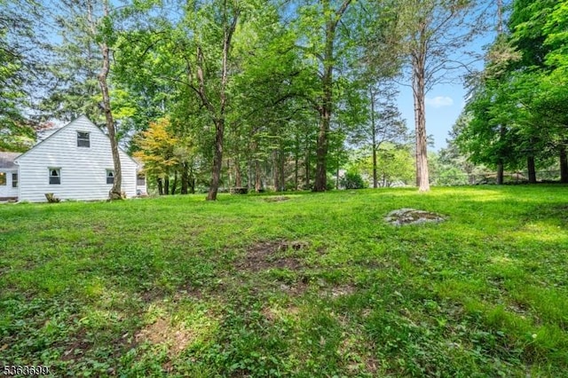 6 Penn Ave, Andover Twp, NJ 07860 - view of green lawn
