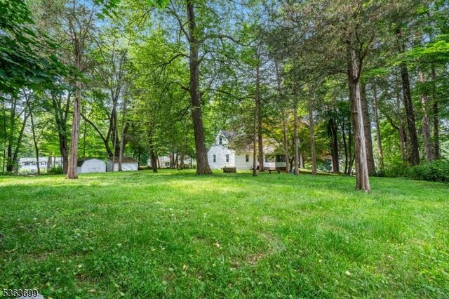6 Penn Ave, Andover Twp, NJ 07860 - view of yard