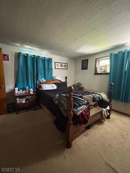 100 Myrtle Ave, Washington Boro, NJ 07882 - view of carpeted bedroom
