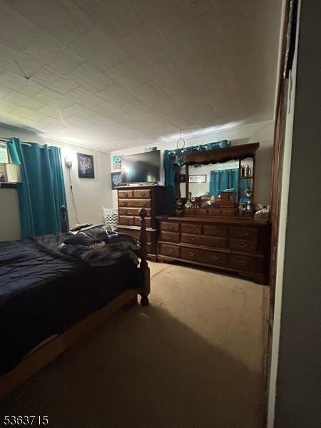 100 Myrtle Ave, Washington Boro, NJ 07882 - view of carpeted bedroom