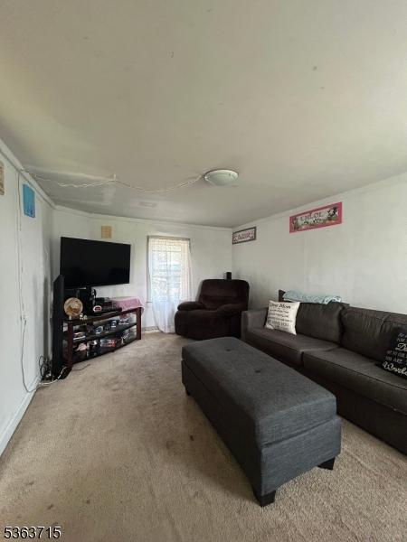 100 Myrtle Ave, Washington Boro, NJ 07882 - living area with carpet flooring
