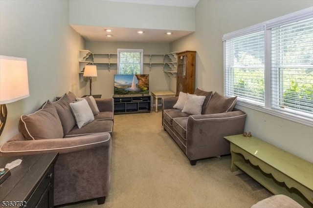 130 Lake Iliff Rd, Andover Twp, NJ 07860 - living room featuring light carpet