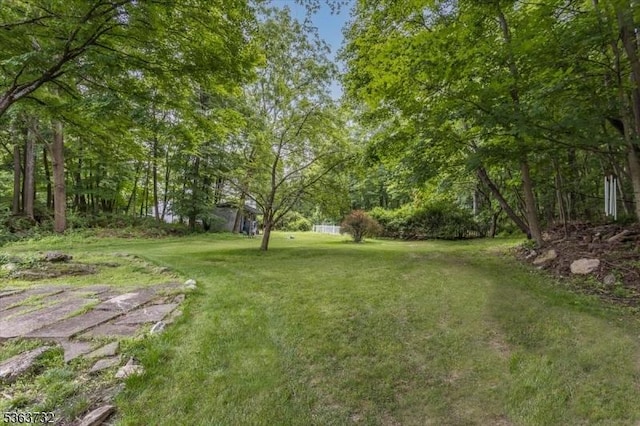 130 Lake Iliff Rd, Andover Twp, NJ 07860 - view of grassy yard