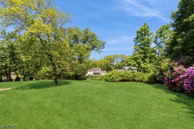 24 Forest Dr, Roxbury Twp, NJ 07876 - view of grassy yard