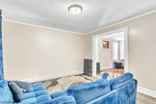 410-412 Kerrigan Blvd, Newark City, NJ 07106 - carpeted living area with crown molding and baseboards