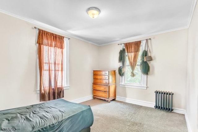 410-412 Kerrigan Blvd, Newark City, NJ 07106 - bedroom featuring radiator heating unit, carpet floors, ornamental molding, and baseboards