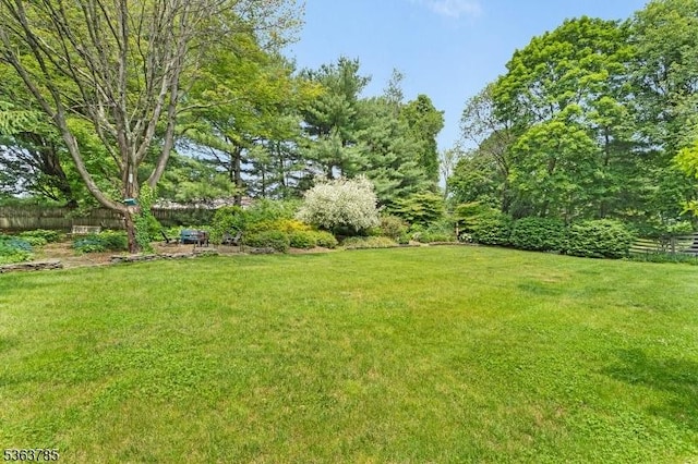 28 Douglas Dr, Washington Twp, NJ 07853 - view of yard