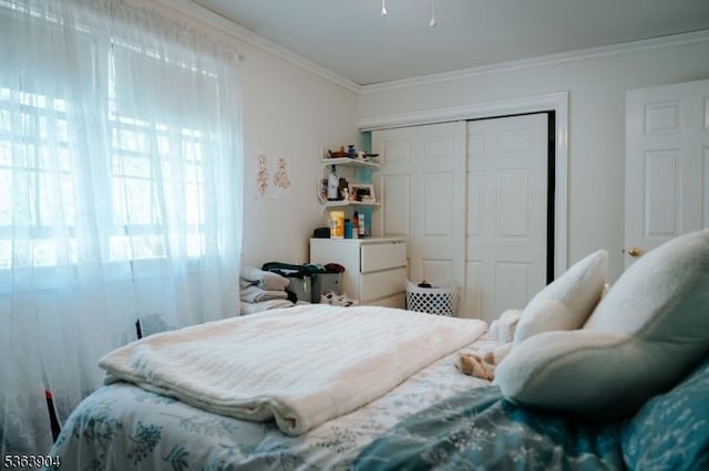 2 Monsey Rd, Raritan Twp, NJ 08822 - bedroom with a closet and ornamental molding