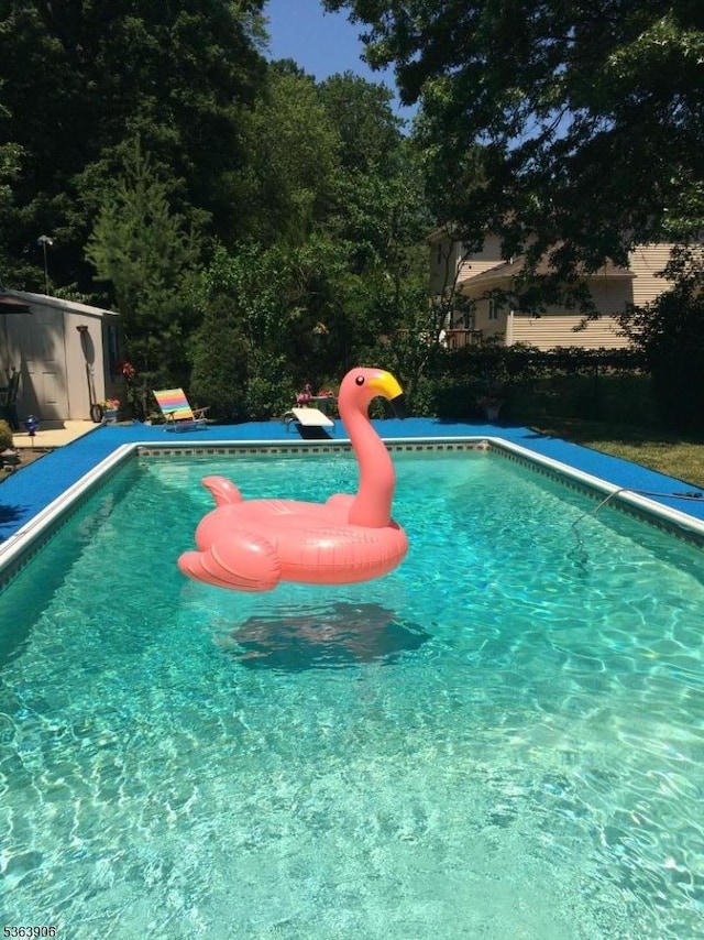 158 Fieldcrest Rd, Parsippany-Troy Hills Twp, NJ 07054 - swimming pool with a shed