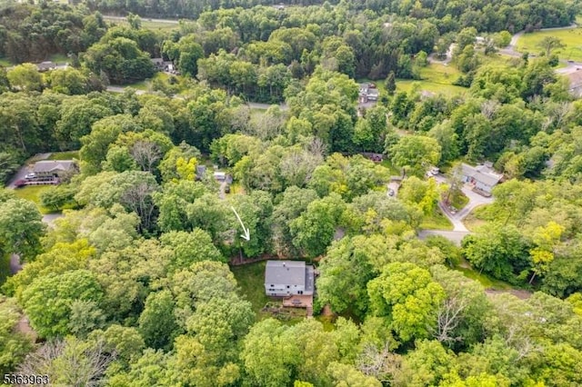 46 Deerfield Dr, Hardyston Twp, NJ 07416 - aerial view of property and surrounding area with a heavily wooded area