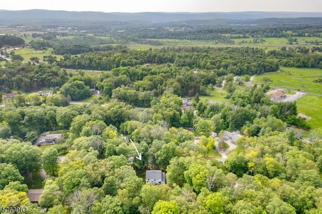 46 Deerfield Dr, Hardyston Twp, NJ 07416 - bird's eye view of a heavily wooded area