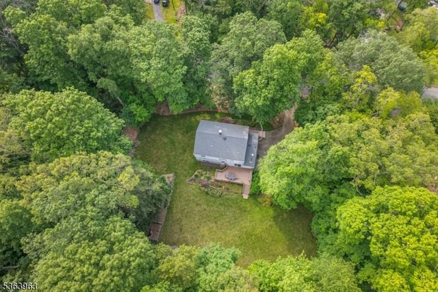 46 Deerfield Dr, Hardyston Twp, NJ 07416 - aerial view of property's location with a forest