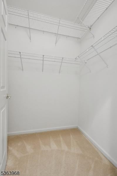 5003 Brookfield Glen Dr, White Twp, NJ 07823 - spacious closet with light colored carpet