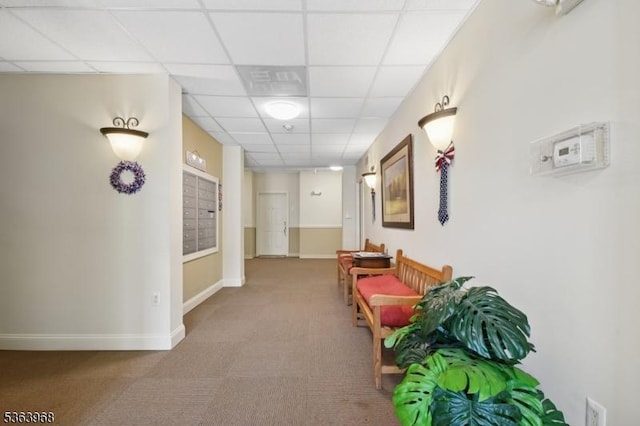 5003 Brookfield Glen Dr, White Twp, NJ 07823 - hallway featuring a drop ceiling, carpet flooring, and mail area