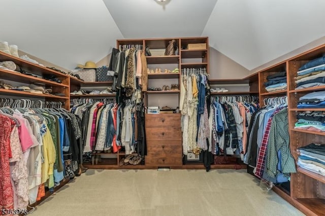 1611 Adams Dr, Greenwich Twp, NJ 08886 - spacious closet with vaulted ceiling and carpet flooring