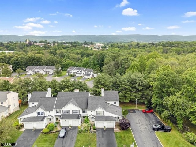 143 Canal Way, Hackettstown Town, NJ 07840 - bird's eye view of a heavily wooded area