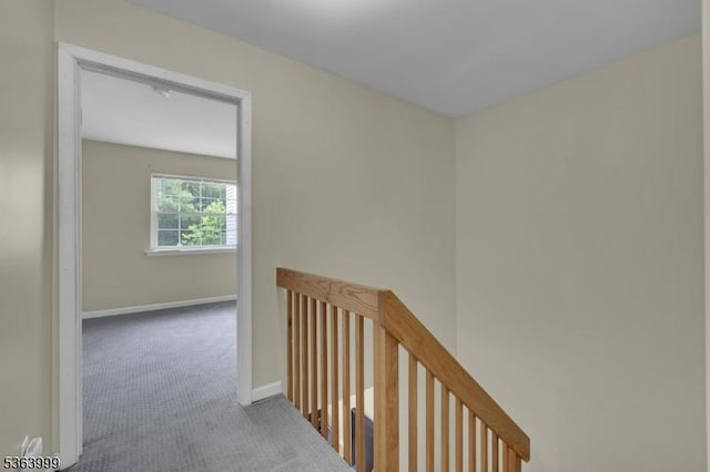 143 Canal Way, Hackettstown Town, NJ 07840 - hallway with carpet flooring and an upstairs landing