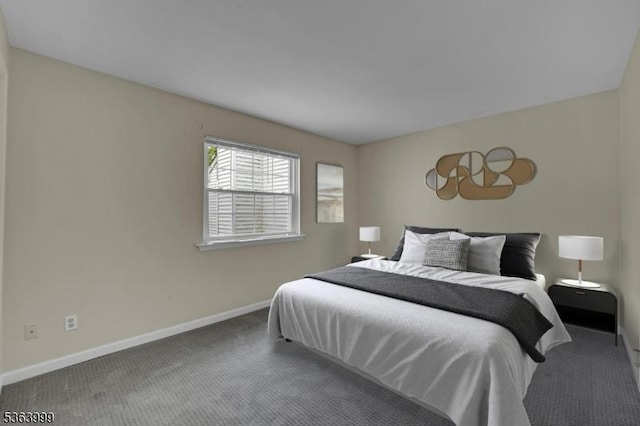 143 Canal Way, Hackettstown Town, NJ 07840 - bedroom with carpet and baseboards