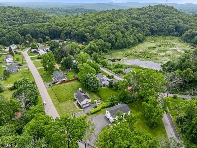 31 Arthur Ave, Andover Twp, NJ 07860 - aerial view of property's location featuring a forest