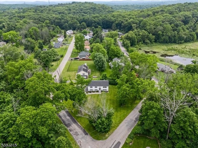 31 Arthur Ave, Andover Twp, NJ 07860 - aerial view of a forest