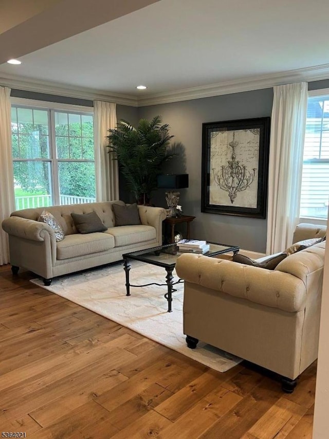 6 Leidl Cir, Hillsborough Twp, NJ 08844 - living room with crown molding, hardwood / wood-style flooring, and recessed lighting