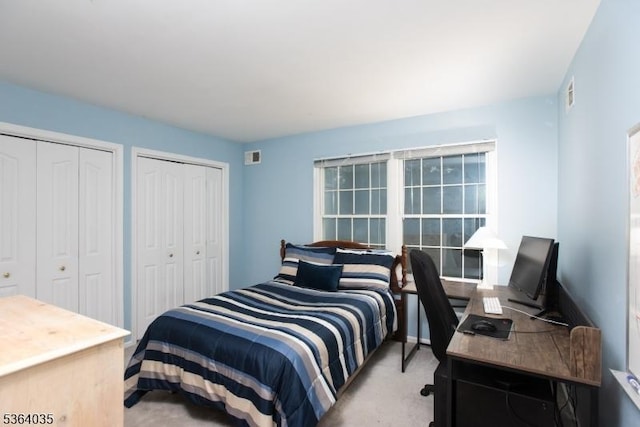 13 Deer Path Cir, Green Brook Twp, NJ 08812 - bedroom with two closets, carpet floors, and an office area