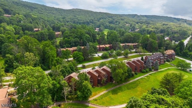 2 Falkenstein Dr Unit 10, Vernon Twp, NJ 07462 - drone / aerial view of a heavily wooded area
