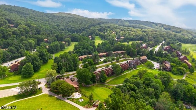 2 Falkenstein Dr Unit 10, Vernon Twp, NJ 07462 - bird's eye view of a heavily wooded area