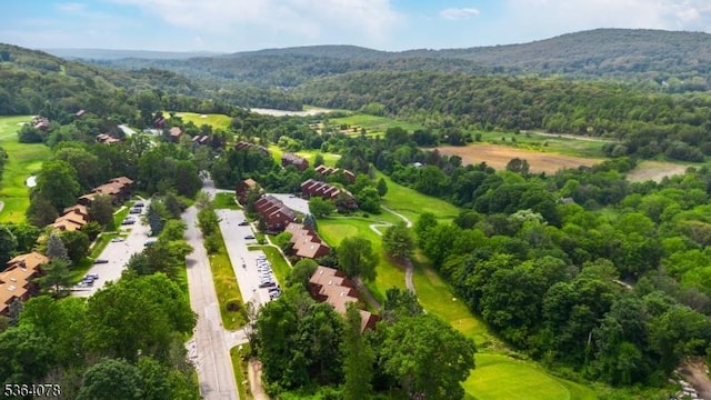 2 Falkenstein Dr Unit 10, Vernon Twp, NJ 07462 - aerial view of property and surrounding area with a heavily wooded area and mountains