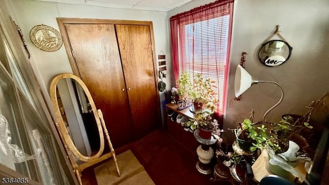 3 Hann Ter, Washington Boro, NJ 07882 - doorway to outside featuring carpet flooring