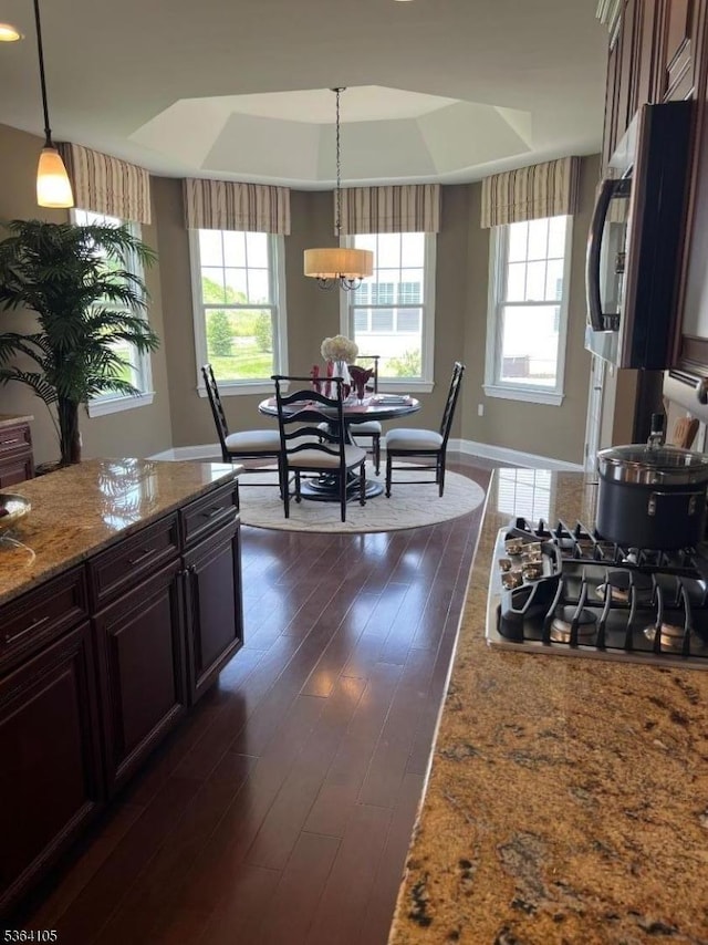8 Leidl Cir, Hillsborough Twp, NJ 08844 - kitchen featuring a raised ceiling, stainless steel appliances, dark wood-type flooring, and plenty of natural light