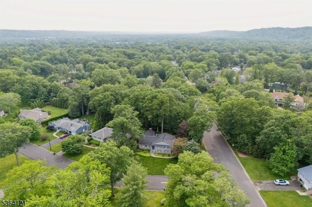 198 Pittsford Way, New Providence Boro, NJ 07974 - drone / aerial view