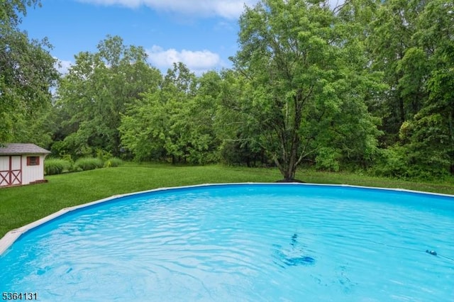 505 Sheppard Ct, Hillsborough Twp, NJ 08844 - swimming pool with a storage shed and a lawn