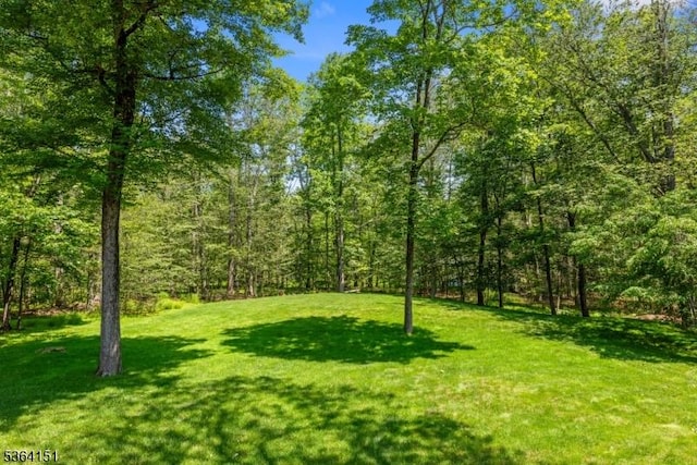 37 Dogwood Dr, Chester Twp, NJ 07930 - view of green lawn featuring a view of trees