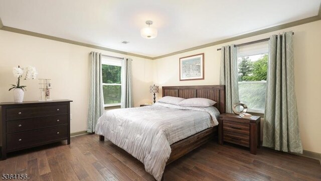 165 Rock Rd W, Green Brook Twp, NJ 08812 - bedroom with crown molding, dark wood-style flooring, and multiple windows