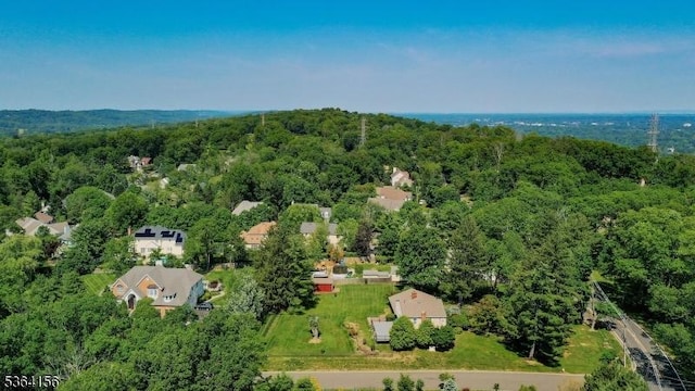 165 Rock Rd W, Green Brook Twp, NJ 08812 - aerial view of property's location with a heavily wooded area