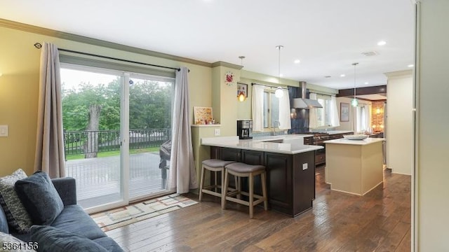 165 Rock Rd W, Green Brook Twp, NJ 08812 - kitchen with wall chimney exhaust hood, dark wood finished floors, a peninsula, light countertops, and a center island