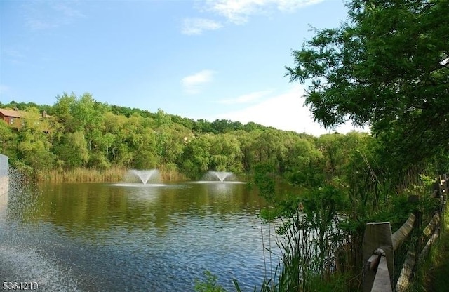 3 Indigo Rd, Allamuchy Twp, NJ 07840 - water view with a forest