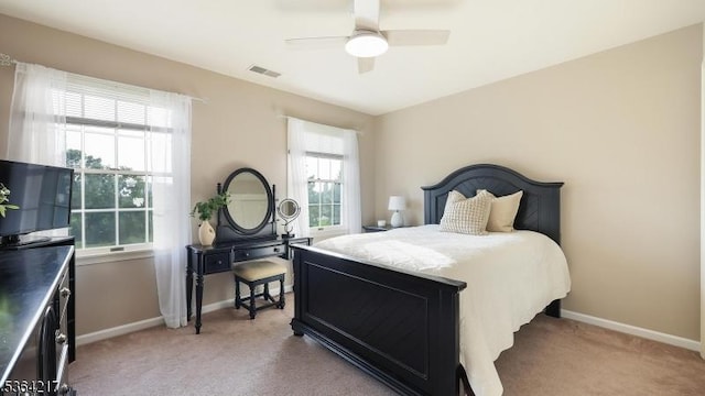 74 Oxford Pl, Hillsborough Twp, NJ 08844 - bedroom with light colored carpet and a ceiling fan