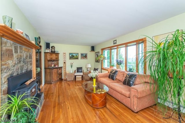25 Mordaunt Rd, Vernon Twp, NJ 07462 - living room featuring light wood-type flooring