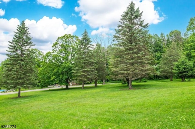 25 Mordaunt Rd, Vernon Twp, NJ 07462 - view of green lawn