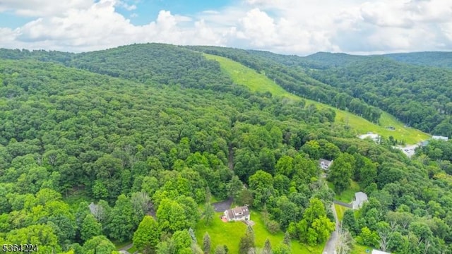 25 Mordaunt Rd, Vernon Twp, NJ 07462 - drone / aerial view of a heavily wooded area