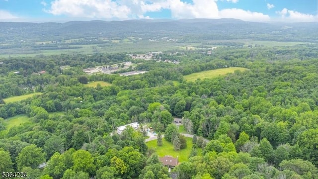 25 Mordaunt Rd, Vernon Twp, NJ 07462 - aerial view of a forest