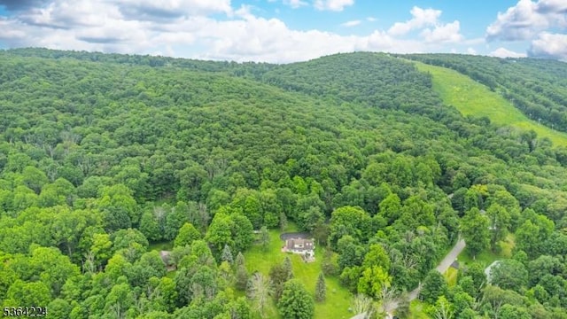 25 Mordaunt Rd, Vernon Twp, NJ 07462 - aerial view of a forest