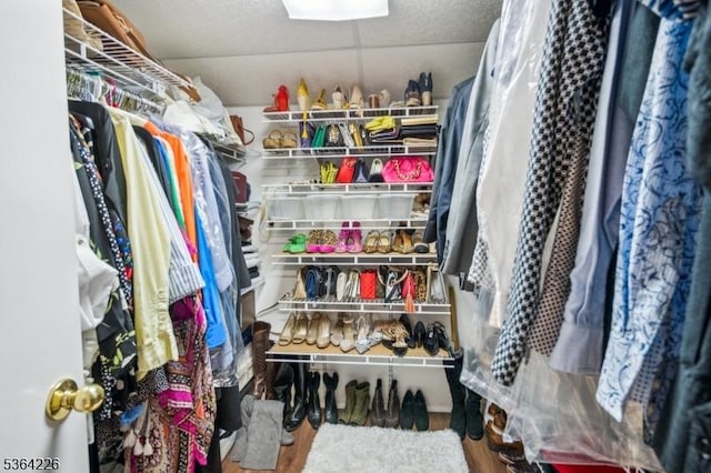 1707 Valley Rd, Long Hill Twp, NJ 07946 - walk in closet with a skylight and wood finished floors