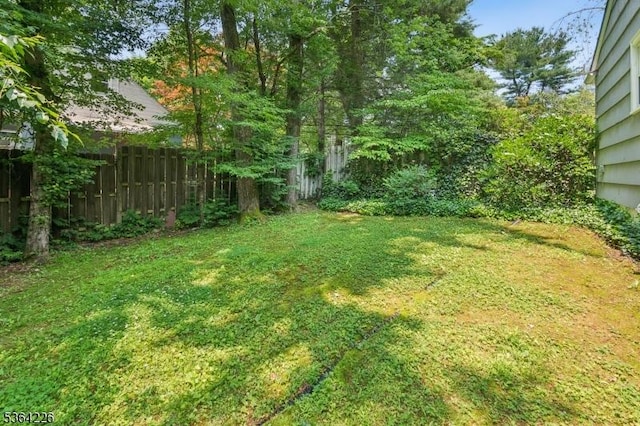 1707 Valley Rd, Long Hill Twp, NJ 07946 - view of yard