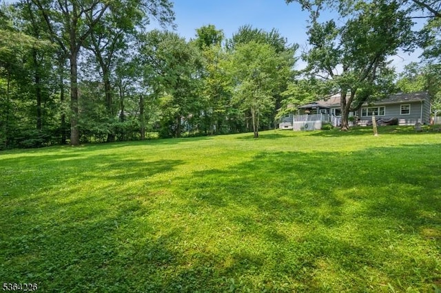 1707 Valley Rd, Long Hill Twp, NJ 07946 - view of green lawn