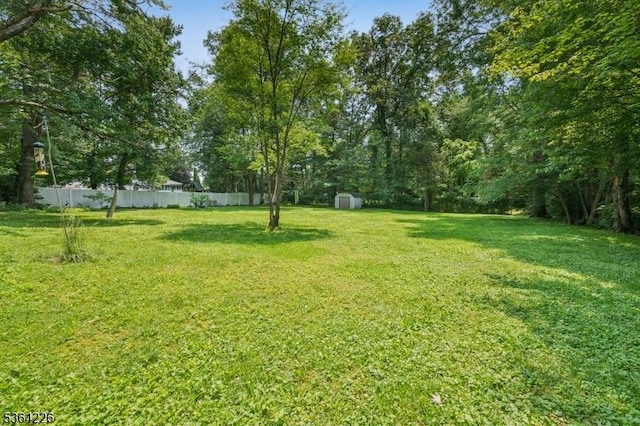 1707 Valley Rd, Long Hill Twp, NJ 07946 - view of yard with a storage unit