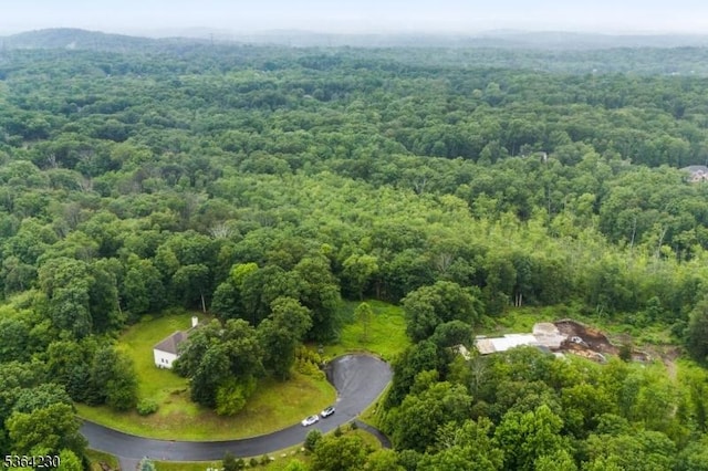 19 Lourdes Ct, Andover Twp, NJ 07821